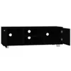 vidaXL TV-Schrank Schwarz 120x40,5x35 cm Holzwerkstoff -  Produktbild-Vorschau 6