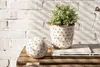 Clayre & Eef Blumentopf Ø 14x13 cm Beige Schwarz Keramik Produktbild-Vorschau 4