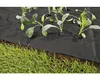 Netkaná textilie mulčovací FloraSelf 5 x 1,5 m 50g/m² černá Náhled obrázku produktu 1