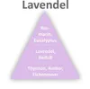 OLORI Raumduft Lavendel 200 ml – Diffuser mit Produktbild-Vorschau 2