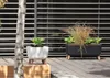 Prosperplast Gracia Case vaso da fiori DGCL400-S433 con Anteprima dell’immagine prodotto 3