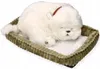 Perfect Petzzz Malteser Plüschtier 25cm, lebensecht Produktbild-Vorschau 3