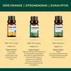 Duftöl Aromaöl Raumduft Massageöl Raumduftöl 100% Produktbild-Vorschau 2