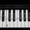 kwmobile Klavier Keyboard Noten Aufkleber - für 49 61 76 88 Produktbild-Vorschau 5