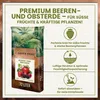 Green Home Beerenobst Erde 72 L – Spezialsubstrat für Produktbild-Vorschau 2