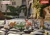 Schleich 14908 - Rabbat le renard - L'école des animaux Voir les images du produit 19