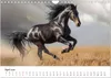 Wilde Mähnen: Ein Jahr mit Pferden (Wandkalender 2026 DIN Produktbild-Vorschau 7