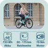 Tretwerk Amber: Bicicletta elettrica da donna, ruote da 28 Anteprima dell’immagine prodotto 11