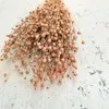 Flachs Getrocknete - (Leinen) - Hellrosa Produktbild-Vorschau 5