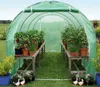 Gewächshaus GREENHOUSE XXXL Frühbeet Treibhaus Frühbeet Produktbild-Vorschau 3
