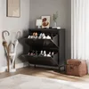 FLEXISPOT Scarpiera in metallo con 2 ante, scarpiera Anteprima dell’immagine prodotto 2