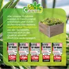BioGreen 2m² Hochbeet ErnteMAXX in Rechteckform erhältlich Produktbild-Vorschau 9
