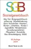 Sozialgesetzbuch mit Sozialgerichtsgesetz Produktbild-Vorschau 2
