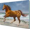 Coloray Herdabdeckplatte 60x52 cm Schneidebrett Produktbild-Vorschau 1