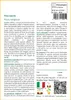 SAFLAX  - Fico sacro - 100 semi - Con substrato - Ficus Anteprima dell’immagine prodotto 3