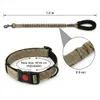 Hundehalsband und Elastische Hundeleine Set, 1,2m, Produktbild-Vorschau 8