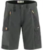 FJÄLLRÄVEN Fjällräven Abisko Shorts Herren grau 56 Produktbild-Vorschau 3