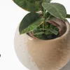 Kreativer Erdförmiger Keramik-Blumentopf Mit Drainageloch, Produktbild-Vorschau 4