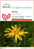 SAFLAX  - Arnica  - 40 semi - Arnica Anteprima dell’immagine prodotto 1