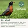 Orni Soldatenfliegenlarven getrocknet 1,5kg | Produktbild-Vorschau 6