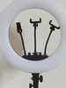 Lampe annulaire LED 18 pouces SY480II, 65W/96W, pour la Voir les images du produit 7