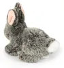 Plyšový králík 17 cm Ekologický Náhled obrázku produktu 4