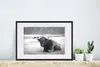 MuchoWow® MuchoWow® Gerahmtes Poster Schottisches Produktbild-Vorschau 4