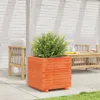 vidaXL Pflanzkübel Wachsbraun 50x50x49,5 cm Massivholz Produktbild-Vorschau 3