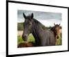 MuchoWow® MuchoWow® Gerahmtes Poster Pferde - Wiese - Produktbild-Vorschau 1