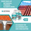 Marketing image for a roof tile cleaner, showing product bottles and roof tiles. Produktbild-Vorschau