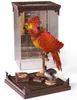 Harry Potter - Kouzelná stvoření - Diorama: Fénix Fanny Náhled obrázku produktu 2