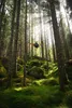 Houpací síť Amazonas Adventure Hammock coyote Náhled obrázku produktu 22