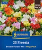 Kiepenkerl Freesien Megapack Gefüllt Mix 25 Pflanzen Produktbild-Vorschau 1