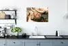 MuchoWow® Poster Schottischer Highlander - Schmetterling - Produktbild-Vorschau 3