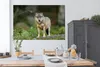MuchoWow® Poster Wolf - Tiere - Wald 180x120 cm - Produktbild-Vorschau 3