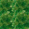 Trolli Waldmeister-Bären 500g Produktbild-Vorschau 1