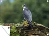 MuchoWow® Produktbild-Vorschau 1