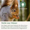 Orni Eichhörnchen Futter 1kg | Ganzjahresfutter Nüsse- Produktbild-Vorschau 6