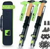 Alpteq® Dufourspitze - faltbare Wanderstöcke aus Carbon | Produktbild-Vorschau 1
