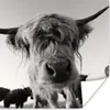 MuchoWow® Poster Schottischer Highlander - Schwarz - Weiß - Produktbild-Vorschau 1