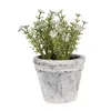 Clayre & Eef Blumentopf Ø 10x8 cm Weiß Blau Terrakotta Produktbild-Vorschau 2
