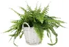 KOTARBAU® Blumentopf geflochten Korb geflochten Weidenkorb Produktbild-Vorschau 3