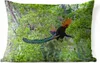 MuchoWow® Outdoor Kissen - Pfau - Fliegen - Wald - Blau - Produktbild-Vorschau 1