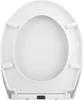 Spirella WC Sitz Toilettendeckel Harry Duroplast mit Produktbild-Vorschau 2
