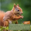Spezialfutter für Eichhörnchen 2kg Produktbild-Vorschau 10