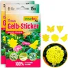 inseko 30x Profi Gelbsticker I Gelbtafeln I Gelbfalle I Produktbild-Vorschau 1