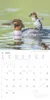 Alpha Edition - Tierbabys Kalender 2026 - Wandkalender Produktbild-Vorschau 7