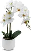 3.03 Kunstorchidee in witte pot - ongeveer 50 cm - Productafbeelding-voorbeeld 1