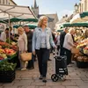 Carrello della spesa Relaxdays, 2 ruote grandi, scomparto Anteprima dell’immagine prodotto 2