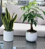 KOTARBAU® Keramik-Blumentopf Zylinder Weiß Silber Produktbild-Vorschau 5
